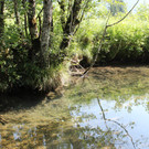 IMG_7127.JPG