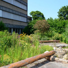 VMS Umbau24.JPG