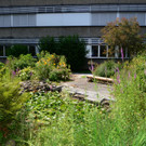 VMS Umbau26.JPG