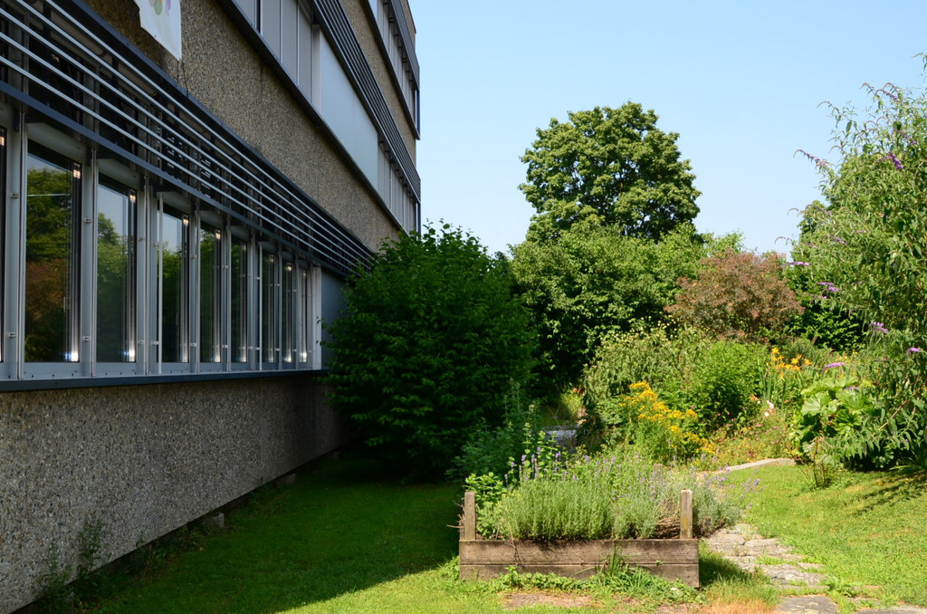 VMS Umbau30.JPG