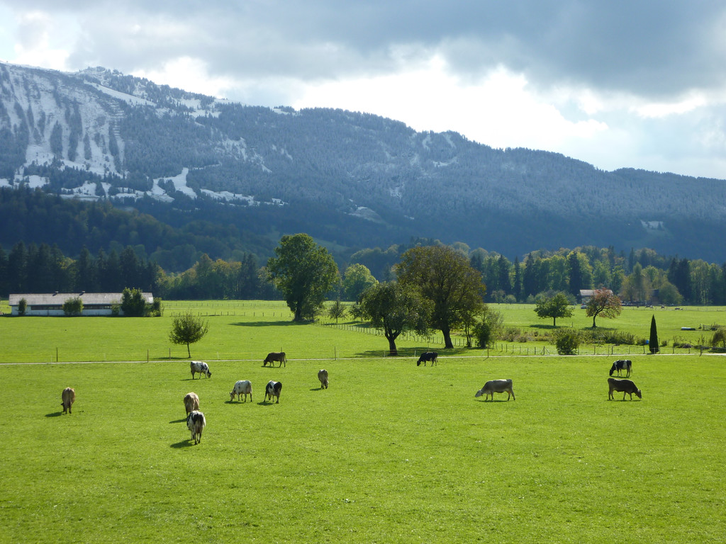 P1000022_JPG-1374505908