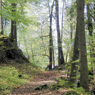 Fehrenm__hleweg a_JPG-1374505849