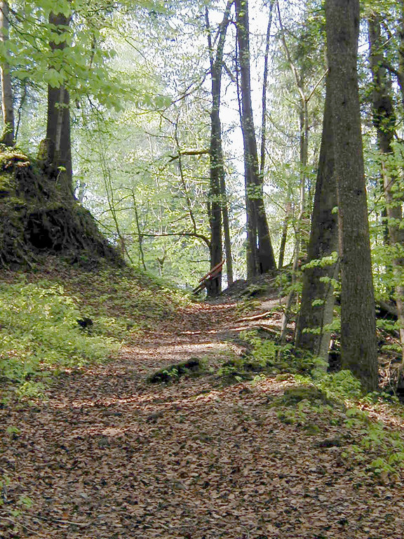 Fehrenm__hleweg a_JPG-1374505849