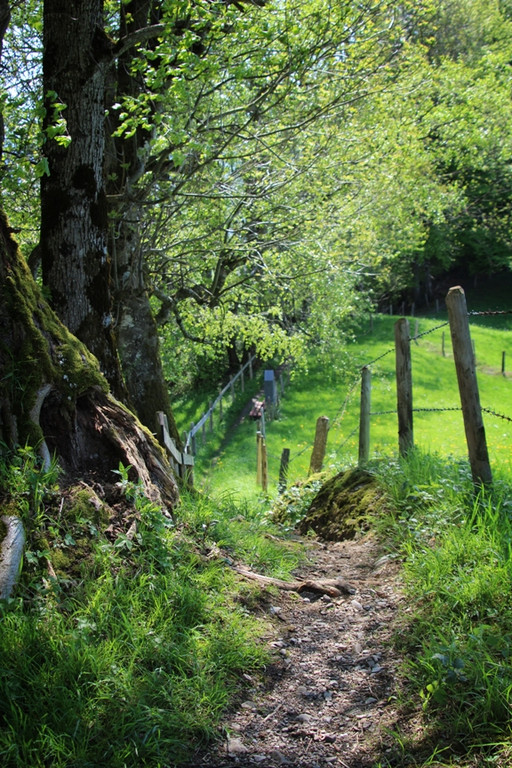 IMG_3_jpg-1374505852