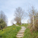 Kreuzweg a_jpg-1374505881