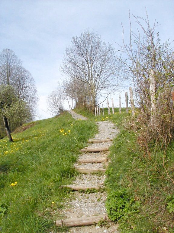 Kreuzweg a_jpg-1374505881