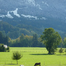 P1000023_JPG-1374505931