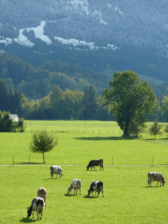 P1000023_JPG-1374505931