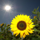 ABD0036-20130722.jpg