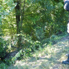 22072013vude_01_009aktivnews_4.jpg