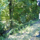 22072013vude_01_009aktivnews_4.jpg