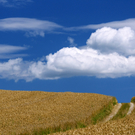 Wolke.jpg