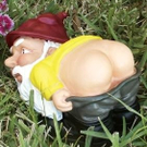 garden-gnome.jpg
