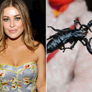 Carmen Electra mag es gefährlich: sie beherbergt einen Skorpion