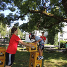 DSCN5571_JPG-1374581777