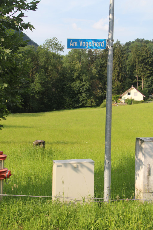 Am Vogelherd_1_jpg-1374592036