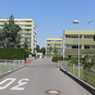 DSCN7470_JPG-1374594098