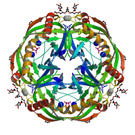 Pyrophosphatase.jpg