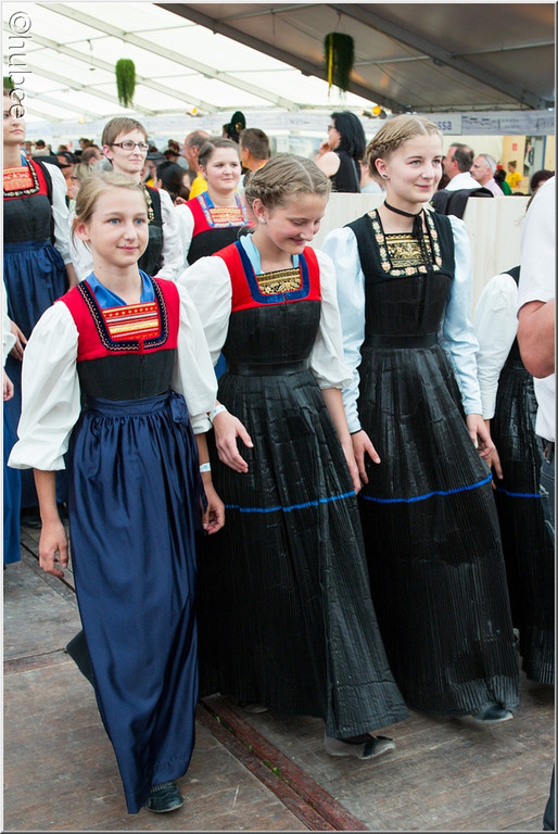 AU13mvfest  0847.jpg