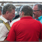 AU13mvfest  1030.jpg
