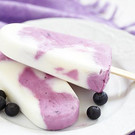 heidelbeer-joghurt_shutterstock_com_ElenaShashkina.jpg