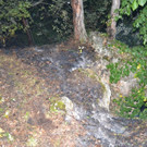 DSC_0015.JPG
