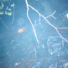 DSC_0023.JPG
