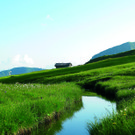 Dam__ls_Landschaft_1_CMYK.jpg