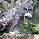 ABD0139-20130726.jpg