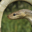ABD0084-20130725.jpg