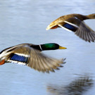ABD0015-20130725.jpg