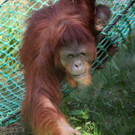 ABD0040-20130722.jpg