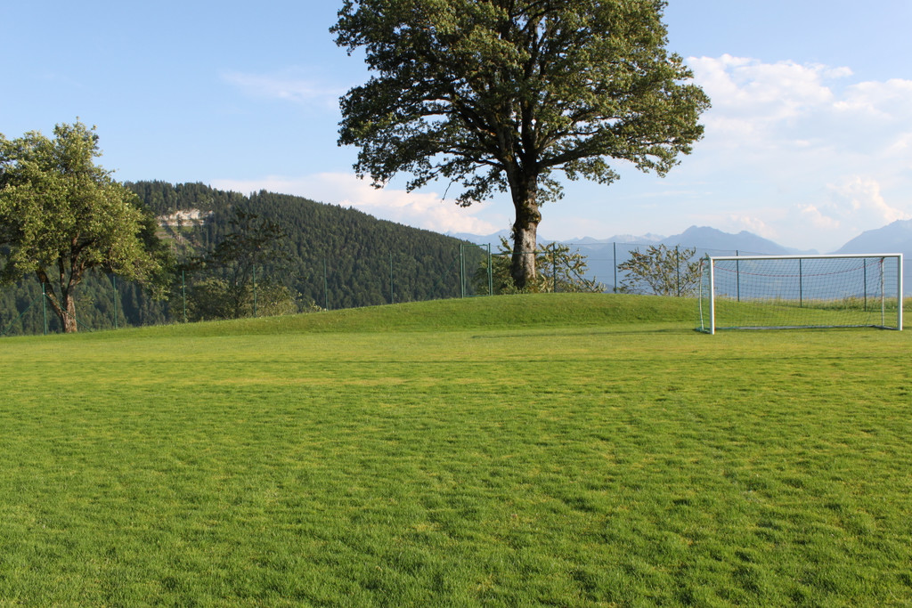 volleyball platz_jpg-1374925514
