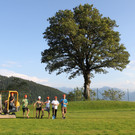 volleyball platz _9__jpg-1374925612