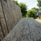 DSC03752 _Large_.JPG