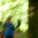 DSC03773 _Large_.JPG