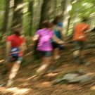 DSC03826 _Large_.JPG