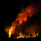 normal_28072013fmt_waldbrandbgl_ta_002.JPG