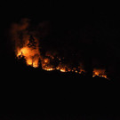 normal_28072013fmt_brand_thumsee_ui_10.jpg