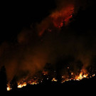normal_28072013fmt_waldbrandbgl_ta_019.JPG