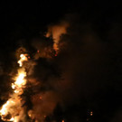 Waldbrand am Thumsee, II