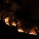 2706213waldbrandde01001aktivnews_003.jpg