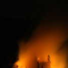 IMG_2376.jpg