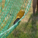 normal_27072013fmt_Stiefelschmeissen_ex_0013.JPG