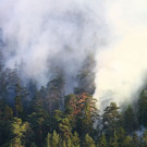 normal_28072013fmt_thumsee2_ta_003.JPG