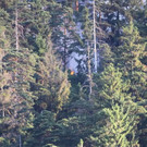 normal_28072013fmt_thumsee2_ta_013.JPG