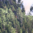 normal_28072013fmt_thumsee2_ta_026.JPG