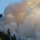 28072013waldde01009aktivnews _10_.jpg