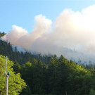 28072013waldde01009aktivnews _6_.jpg