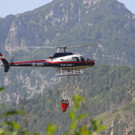 28072013waldbrthde01003aktivenws3 _48_.JPG